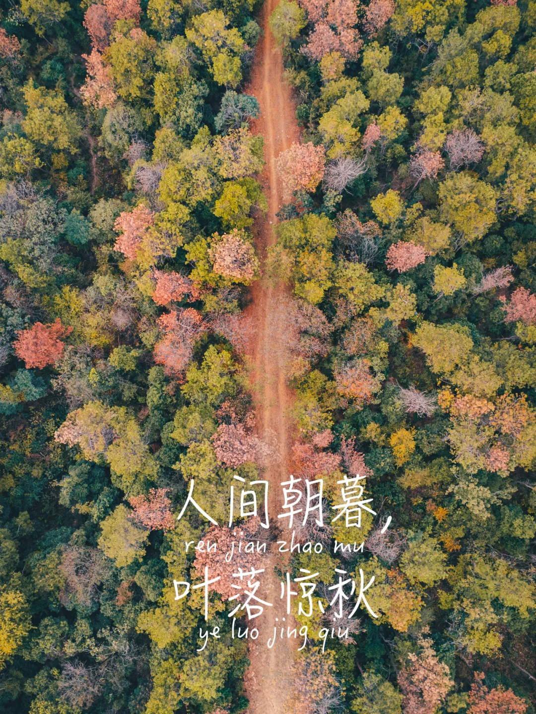 无处来信安卓版保持通话没人爆炸电脑版下载