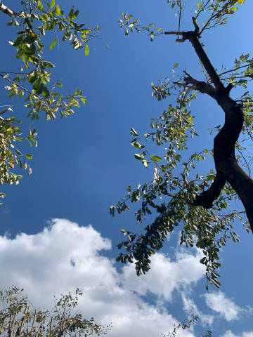 28圈苹果手机版28圈电脑网页版在线玩